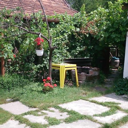 Boris Apartman Apartment Гюла Екстериор снимка