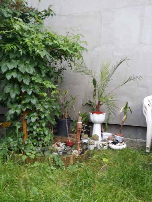 Boris Apartman Apartment Гюла Екстериор снимка