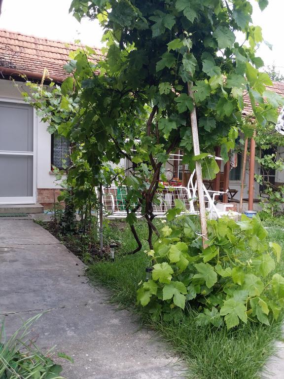 Boris Apartman Apartment Гюла Екстериор снимка