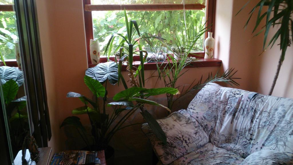 Boris Apartman Apartment Гюла Екстериор снимка